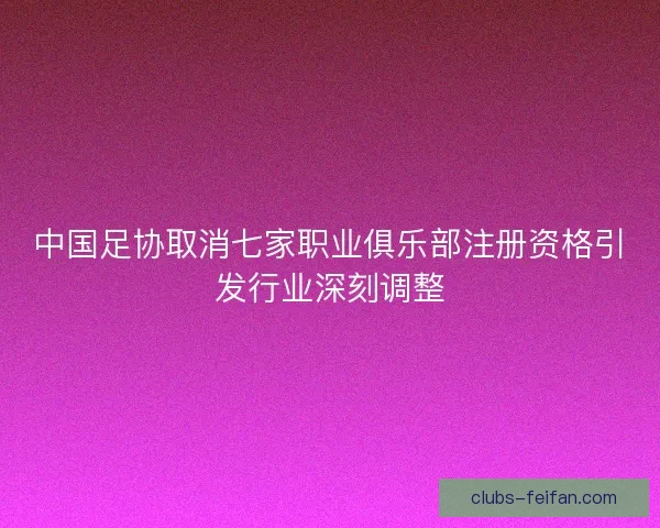 中国足协取消七家职业俱乐部注册资格引发行业深刻调整