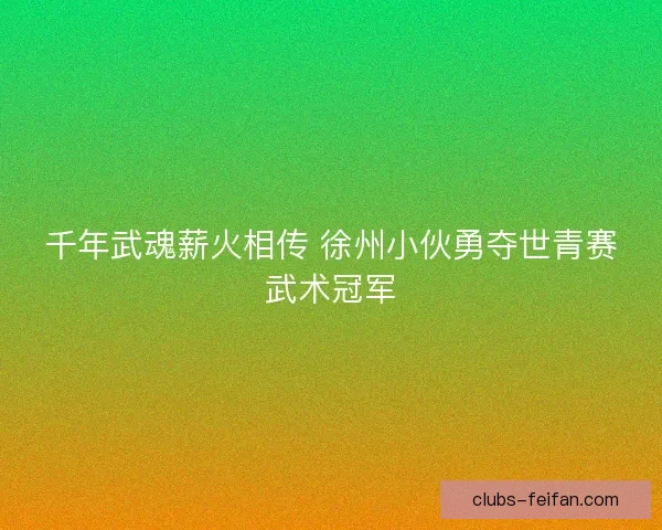 千年武魂薪火相传 徐州小伙勇夺世青赛武术冠军